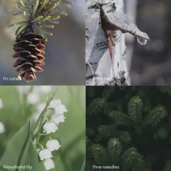 Skandinavisk Hånd- Og Fodpleje><noscript><img width=