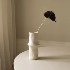 Small Anthurium Flower-Botané Best