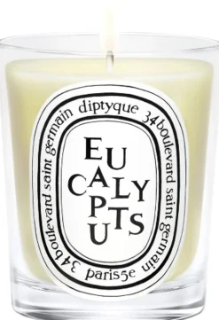 Diptyque Dufte Til Hjemmet>Standard candle Eucalyptus