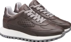 Dame Lloyd Sneakers>STELLA