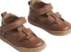 Sven Prewalker-Wheat Best