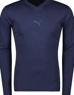 Puma T-Shirts>TeamGOAL Baselayer