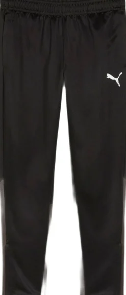 Teamgoal Bukser-Puma Discount