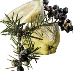 TERRE D' EAU GIVRÈE EAU DE PARFUM-HERMÈS New