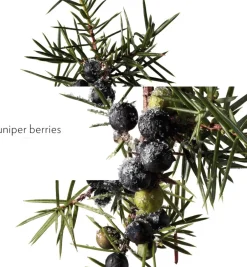 TERRE D' EAU GIVRÈE EAU DE PARFUM-HERMÈS New