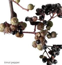 TERRE D' EAU GIVRÈE EAU DE PARFUM-HERMÈS New