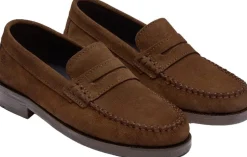 The Norah-Playboy New