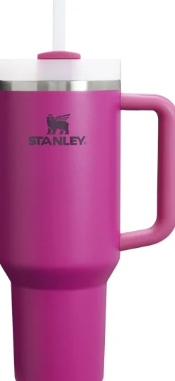 Stanley Kaffe & Te>The Quencher H2o Flowstate Tumbler, 1,2L