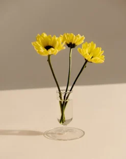 Hay Vaser & Urtepotteskjulere>Tiny Vase-Clear