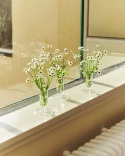 Hay Vaser & Urtepotteskjulere><noscript><img width=