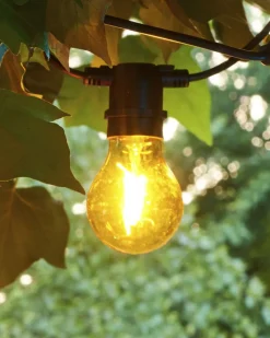 Sale Tobias, Reservepære, Gul Lyskæder