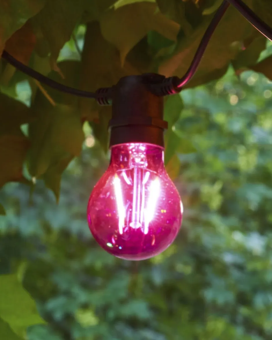 Hot Tobias, Reservepære, Lilla Lyskæder