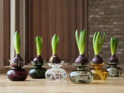 Vase Inu 11x9 cm Amber-Zone Sale