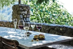 Clearance Vinoteque maturo 2 stk. 49 cl. Glas