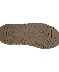 Dame UGG Støvler>W Tazz II