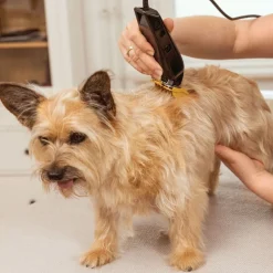 WAHL Barbering|Barbering><noscript><img width=