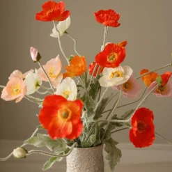 Wild Poppy Dance-Botané Discount