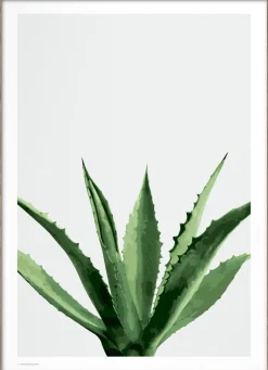 Poster & Frame Plakater & Rammer>Wonderhagen - Agave plakat