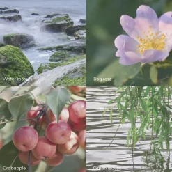 ØY Shampoo 500ml-Skandinavisk New