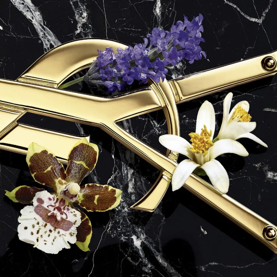 Best Libre Eau De Parfum Intense Eau De Parfum