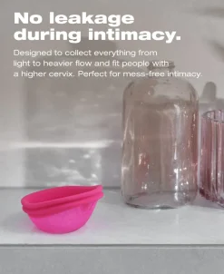 INTIMINA Seksuel Wellness|Kropspleje>Ziggy Cup 2 Size B